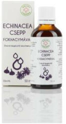 Bálint Cseppek Echinacea csepp fokhagymával 50 ml
