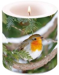 Ambiente Robin In Tree 8x7,5 cm