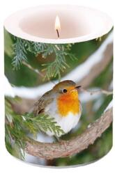 Ambiente Robin in Tree 12x10 cm