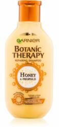 Garnier Botanic Therapy Honey & Propolis șampon regenerator pentru par deteriorat 250 ml