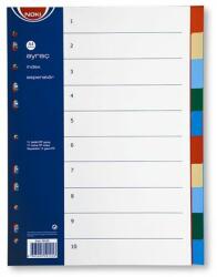 Noki Index plastic Noki A4+ 12 diviziuni color (DNOK59126)