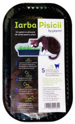 Microgreens Kit - Iarba Pisicii Fresh