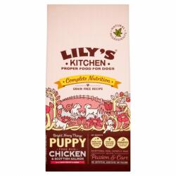 Lily's Kitchen Lily's Kitchen, hrana uscata pentru caini juniori, cu pui si somon 7kg