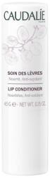 Caudalie Balsam de buze - Caudalie Cleansing & Toning Lip Conditioner 4.5 g