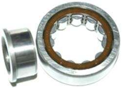 SKF Nj 305 Ecp C3 (skf)