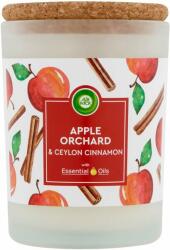 Air Wick Essential Oils apple orchard & ceylon cinnamon 185 g