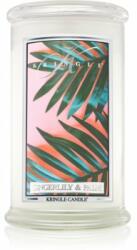 Kringle Candle Gingerlily & Palm 624 g