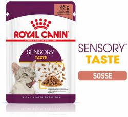 Royal Canin 24x85g Royal Canin Sensory Taste szószban nedves macskatáp