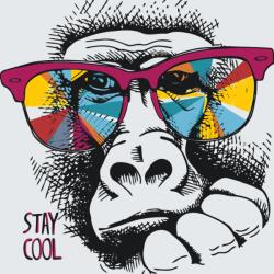 Festés számok szerint - Stay Cool Méret: 50x50cm, Keretezés: Keret nélkül (csak a vászon)