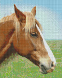 Pixelhobby Pixel szett 9 normál alaplappal, színekkel, ló (809378)