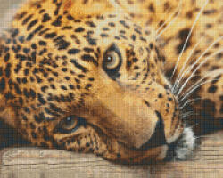 Pixelhobby Pixel szett 16 normál alaplappal, színekkel, leopárd (816182)