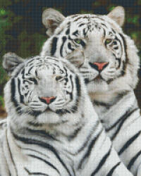 Pixelhobby Pixel szett 16 normál alaplappal, színekkel, fehér tigrisek (816111)