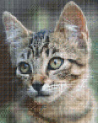 Pixelhobby Pixel szett 4 normál alaplappal, színekkel, cica (804467)