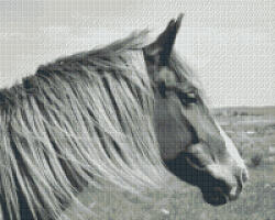 Pixelhobby Pixel szett 16 normál alaplappal, színekkel, ló (816234)