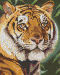 Pixelhobby Pixel szett 9 normál alaplappal, színekkel, tigris (809377)