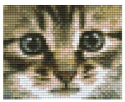 Pixelhobby Pixel szett 1 normál alaplappal, színekkel, cica (801179)