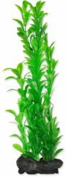 TETRA TETRA Plant Hygrophila L 30 cm