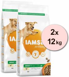 Iams Dog Adult Large Breed, Chicken 2 x 12 kg