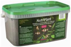 DIVERSA NutriPlant substrat pentru plante de acvariu, 10L