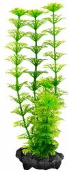 TETRA Plant Tetra Ambulia, S - 15cm