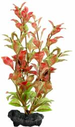 TETRA Ludwigia Repens (Red Ludwigia) - plantă Tetra 30 cm, L