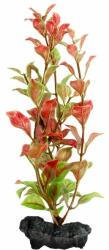 TETRA Ludwigia Repens (Red Ludwigia) - plantă Tetra 15 cm, S