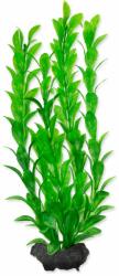 TETRA TETRA Plant Hygrophila M 23 cm