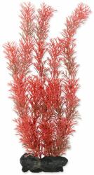 TETRA Myriophyllum Heterophyllum (Red Foxtail) - plantă Tetra 30 cm, L