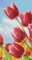 Pixelhobby Pixel szett 6 normál alaplappal, színekkel, tulipánok (806168)