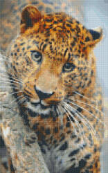 Pixelhobby Pixel szett 8 normál alaplappal, színekkel, leopárd (808081)