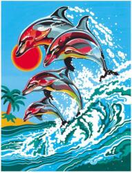 MAMMUT Pictura pe numere Delfini in valuri Carte de colorat