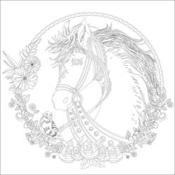 Phoenix Carton panzat pre-desenat Horse Art Therapy Phoenix