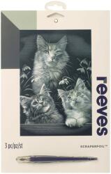 Reeves Gravura predesenata Silver Three Kittens Reeves Carte de colorat