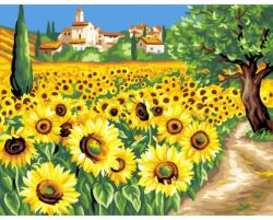 MAMMUT Pictura pe numere Floarea soarelui Carte de colorat