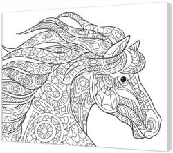 Panza sasiu predesenata Horse Pintcolor