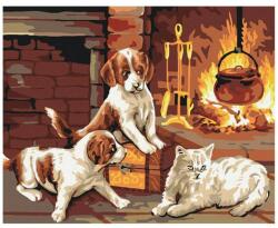 Atelier Pictura pe numere Pets by the fireplace Atelier