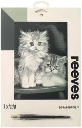 Reeves Gravura predesenata Fluffy Kittens Reeves Carte de colorat