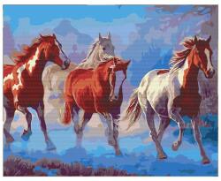 Atelier Pictura pe numere Proud herd Atelier Carte de colorat