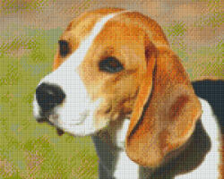 Pixelhobby Pixel szett 9 normál alaplappal, színekkel, kutya, beagle (809381)