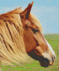 Pixelhobby Pixel szett 6 normál alaplappal, színekkel, ló (806154)