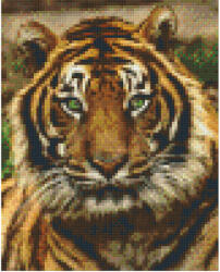 Pixelhobby Pixel szett 4 normál alaplappal, színekkel, tigris (804156)