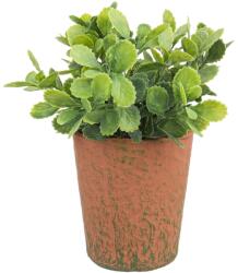 Bizzotto Flori artificiale in ghiveci maro Ø8x16h (BI0172459B)