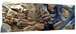  EKOL Decor 3D acvariu 150x50 cm - ROOT