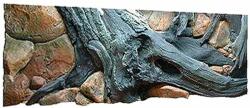  EKOL Decor 3D acvariu 100x40cm - AMAZON