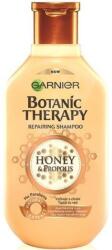 Garnier BotanicTherapy honey∝olis sampon 250 ml