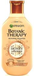 Garnier BotanicTherapy honey& propolis sampon 250 ml