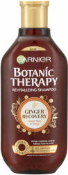 Garnier Botanic Therapy Honey Ginger sampon 400 ml