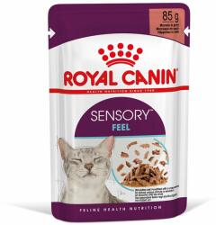 Royal Canin Royal Canin Sensory Feel în sos - 12 x 85 g