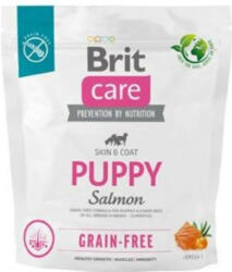 Brit Puppy Salmon 1kg - krizsopet