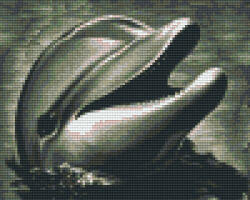 Pixelhobby Pixel szett 4 normál alaplappal, színekkel, delfin (804268)